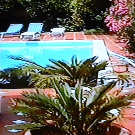 Clara Villa *