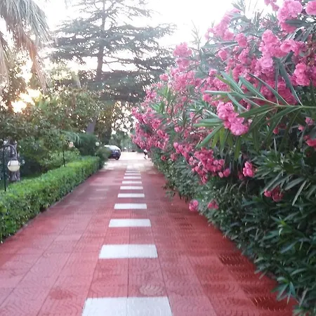 Clara Villa